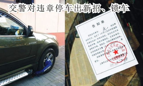 汽车违章分多少分